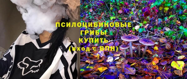 прущий лед Абаза