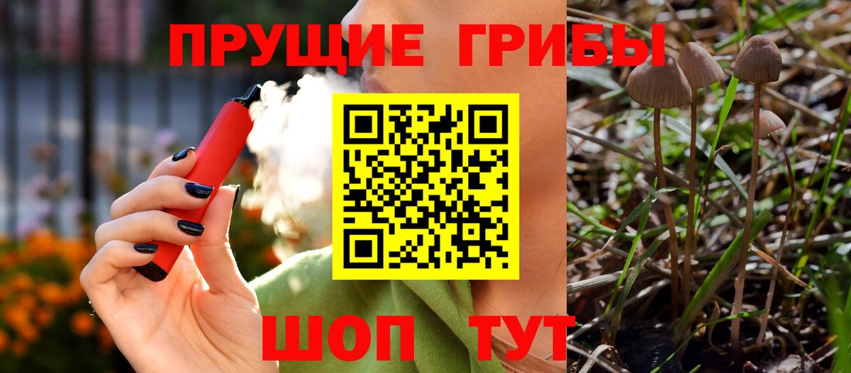Домодедово  Псилоцибиновые грибы GOLDEN TEACHER  Вход с VPN 